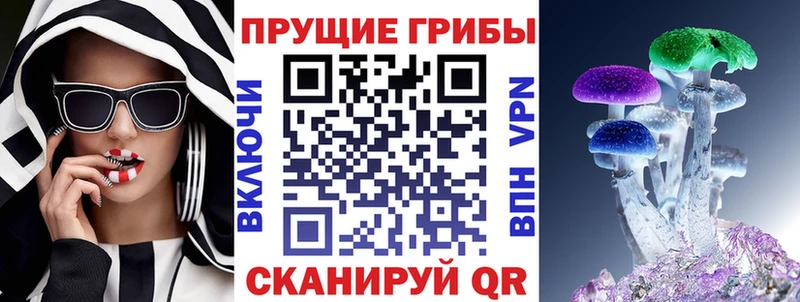 дарк нет состав  Белоярский  Псилоцибиновые грибы ЛСД 